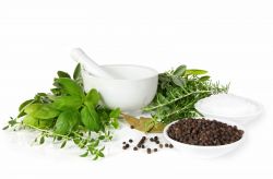 Cos’è la fitoterapia