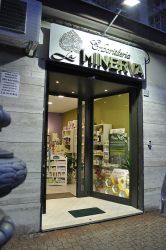 Chi Siamo
